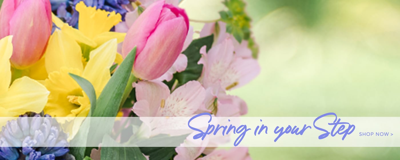 Spring Flowers Delivery